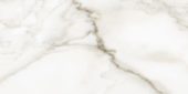 Florence 12X24F Calacatta Matte | Gramercy Kitchen and Bath