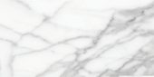 Florence 12X24F Statuario Matte | Gramercy Kitchen and Bath