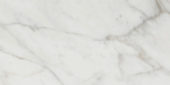 Golden Calacatta Matte 12X24 | Gramercy Kitchen and Bath