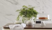 Golden Calacatta Polished 12X24 | Gramercy Kitchen and Bath