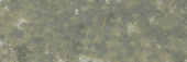 Madrid 3x9" Musgo | Gramercy Kitchen and Bath