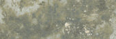 Madrid 3x9" Musgo | Gramercy Kitchen and Bath