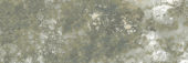 Madrid 3x9" Musgo | Gramercy Kitchen and Bath