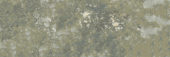 Madrid 3x9" Musgo | Gramercy Kitchen and Bath