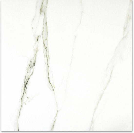 Matte Adoration 24X24 | Gramercy Kitchen and Bath