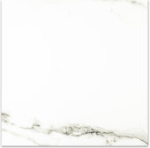 Matte Adoration 24X24 | Gramercy Kitchen and Bath