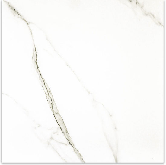 Matte Adoration 24X24 | Gramercy Kitchen and Bath