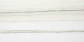 Matte Enchantment 12X24 | Gramercy Kitchen and Bath