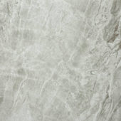 Matte Inspiration 24X24 | Gramercy Kitchen and Bath