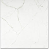 Matte Love 24X24 | Gramercy Kitchen and Bath
