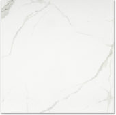 Matte Love 24X24 | Gramercy Kitchen and Bath