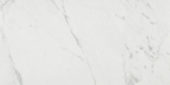 Milano Statuario Honed 12X24 | Gramercy Kitchen and Bath