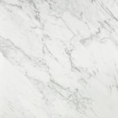 Milano Statuario Polished 24X24 | Gramercy Kitchen and Bath