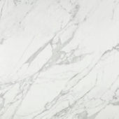 Milano Statuario Polished 24X24 | Gramercy Kitchen and Bath