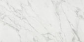 Milano Statuario Polished 24X48 | Gramercy Kitchen and Bath