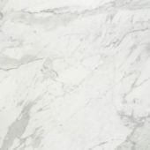 Milano Statuario Polished 32X32 | Gramercy Kitchen and Bath