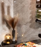 Mont Blanc Gloss Wall Panel 24x48 | Gramercy Kitchen and Bath