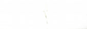 Polished Adoration 10.5X32 | Gramercy Kitchen and Bath