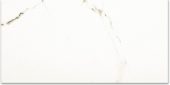 Polished Adoration 16X32 | Gramercy Kitchen and Bath