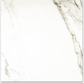 Polished Adoration 24X24 | Gramercy Kitchen and Bath