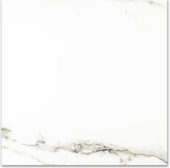 Polished Adoration 24X24 | Gramercy Kitchen and Bath