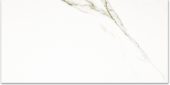 Polished Adoration 24X48 | Gramercy Kitchen and Bath