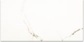 Polished Adoration 24X48 | Gramercy Kitchen and Bath