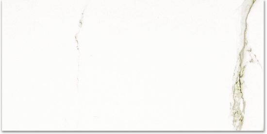 Polished Adoration 24X48 | Gramercy Kitchen and Bath
