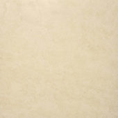 Polished Affection 24X24 | Gramercy Kitchen and Bath