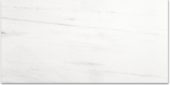 Polished Devotion 12X24 | Gramercy Kitchen and Bath