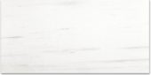 Polished Devotion 12X24 | Gramercy Kitchen and Bath