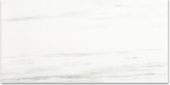 Polished Devotion 12X24 | Gramercy Kitchen and Bath
