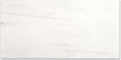Polished Devotion 24X48 | Gramercy Kitchen and Bath