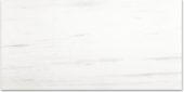 Polished Devotion 24X48 | Gramercy Kitchen and Bath