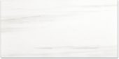 Polished Devotion 24X48 | Gramercy Kitchen and Bath