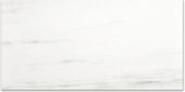 Polished Devotion 24X48 | Gramercy Kitchen and Bath