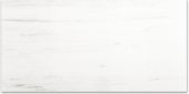 Polished Devotion 24X48 | Gramercy Kitchen and Bath