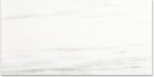 Polished Devotion 24X48 | Gramercy Kitchen and Bath