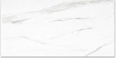 Polished Infatuation 12X24 | Gramercy Kitchen and Bath