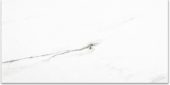 Polished Infatuation 16X32 | Gramercy Kitchen and Bath
