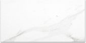 Polished Infatuation 16X32 | Gramercy Kitchen and Bath