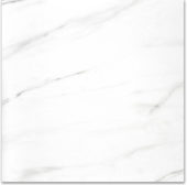 Polished Infatuation 24X24 | Gramercy Kitchen and Bath