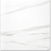 Polished Infatuation 24X24 | Gramercy Kitchen and Bath