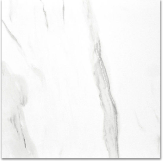 Polished Infatuation 24X24 | Gramercy Kitchen and Bath