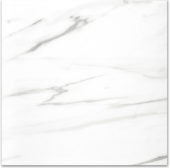 Polished Infatuation 24X24 | Gramercy Kitchen and Bath