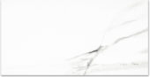Polished Infatuation 24X48 | Gramercy Kitchen and Bath