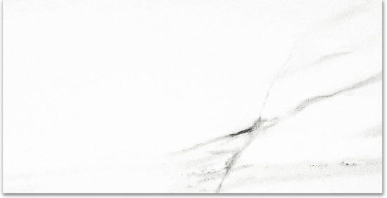Polished Infatuation 24X48 | Gramercy Kitchen and Bath
