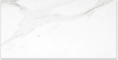 Polished Infatuation 24X48 | Gramercy Kitchen and Bath