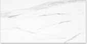 Polished Infatuation 24X48 | Gramercy Kitchen and Bath