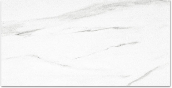 Polished Infatuation 24X48 | Gramercy Kitchen and Bath